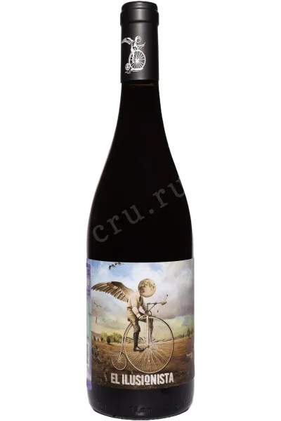 Вино Adegas Tollodouro El Ilusionista Joven Ribera del Duero 2024 0.75 л