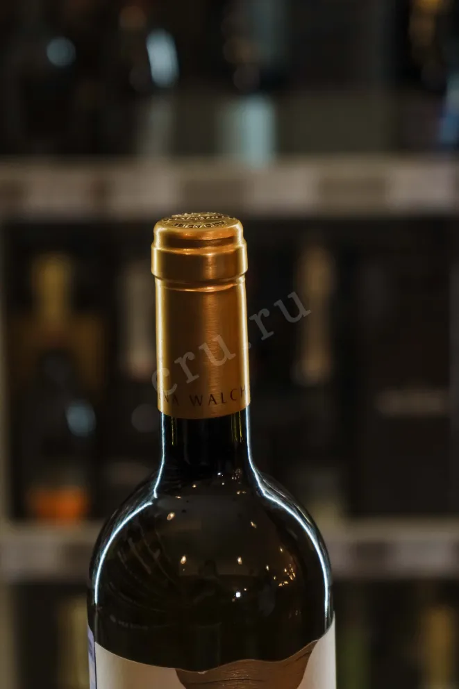 Пробка Elena Walch Pinot Grigio Castel Ringberg DOC 2019 0.75 л