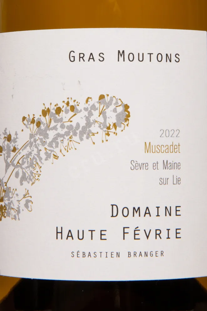 Этикетка Domaine Haute Fevrie Gras Moutons Muscadet Sevre et Maine sur Lie AOC 2022 0.75 л
