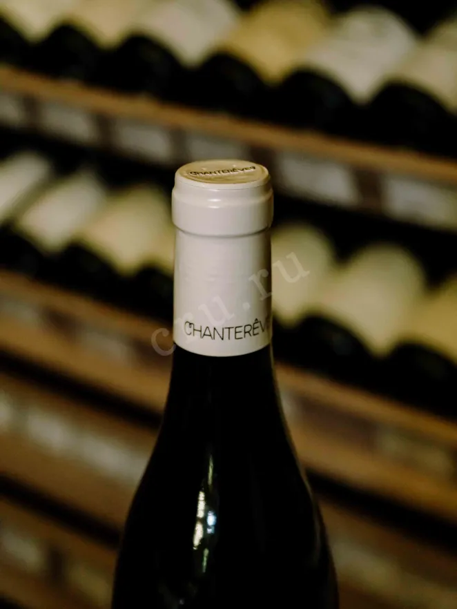 Пробка Chantereves Nuits-Saint-Georges Premier Cru Les Damodes 2018 0.75 л