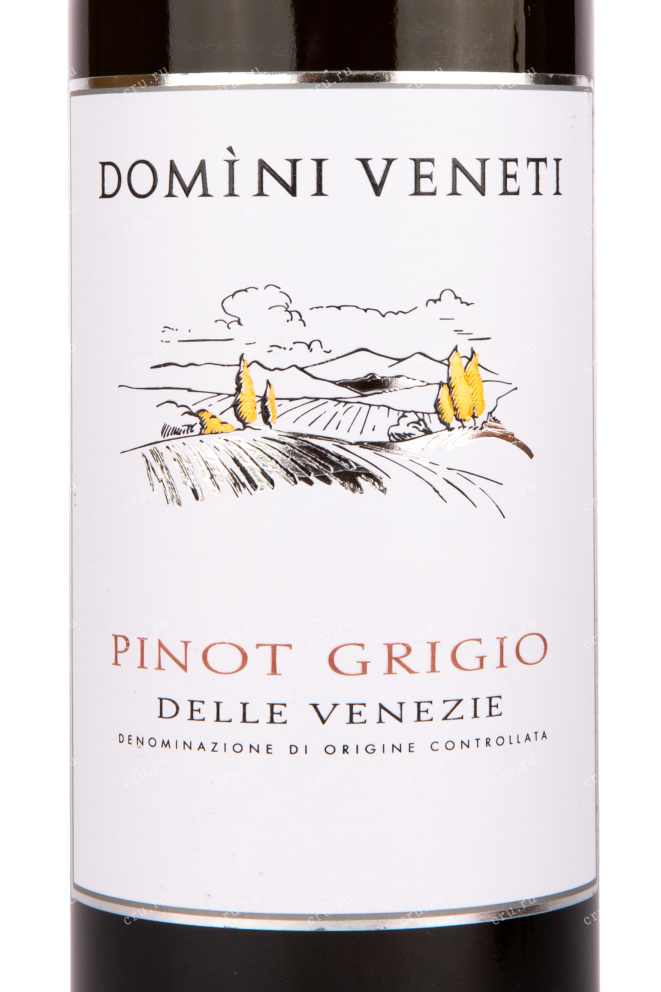 Этикетка вина Domini Veneti Pinot Grigio delle Venezie 0.75 л