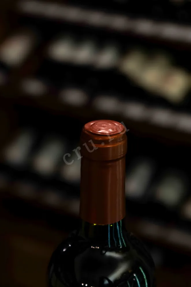 Пробка Mewlen Classic Merlot Central Valley DO 2023 0.75 л