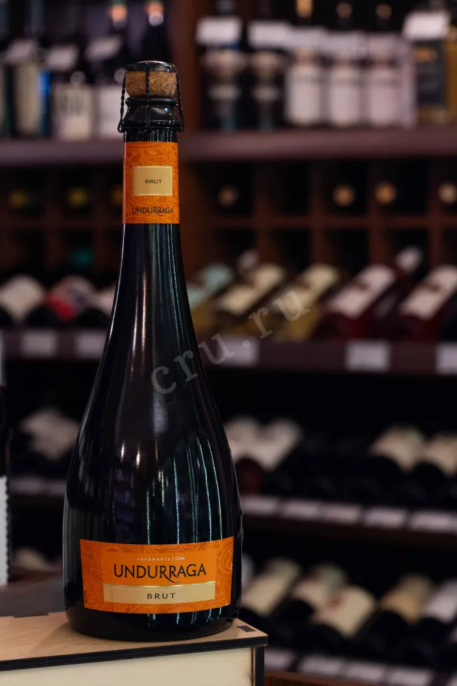 В магазине Крю Профи Undurraga Brut 2023 0.75 л