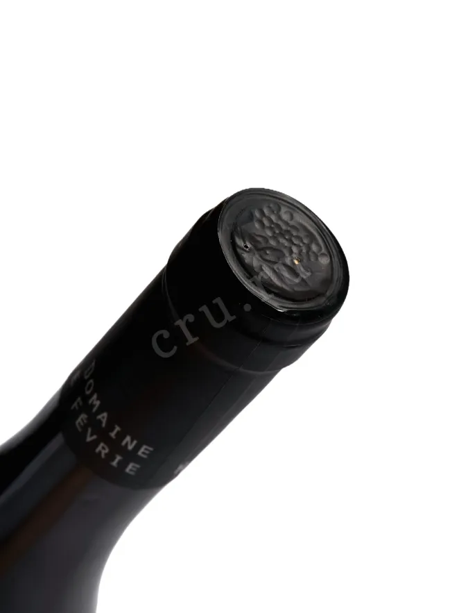 Пробка Domaine Haute Fevrie Monnieres-Saint Fiacre 2018 0.75 л