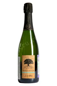 Шампанское Marteaux Guillaume Le Métisse 2019 0.75 л