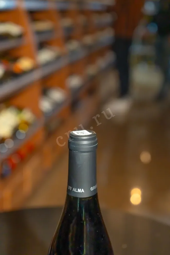 Пробка Alma Gravity Cabernet Sauvignon 2022 0.75 л