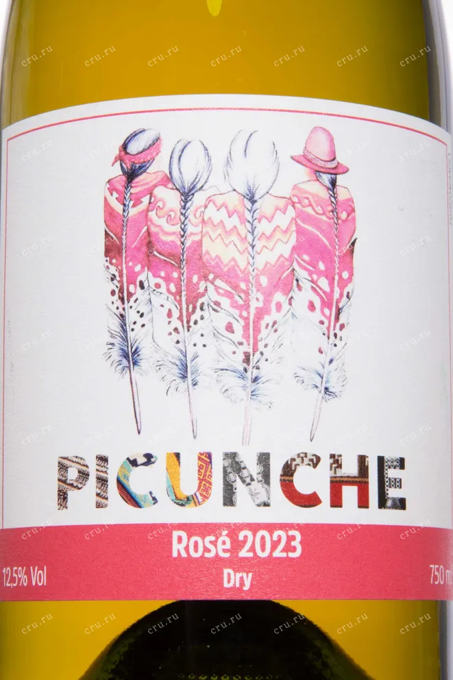 Этикетка Picunche Rose Valle Central DO 2023 0.75 л