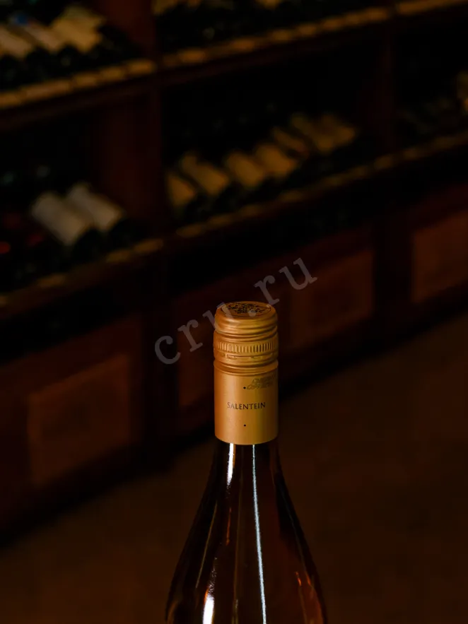 Пробка Salentein Barrel Selection Chardonnay 2019 0.75 л