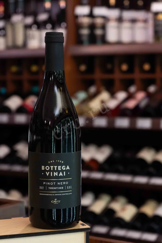 В магазине Крю Профи Bottega Vinai Pinot Nero 2022 0.75 л