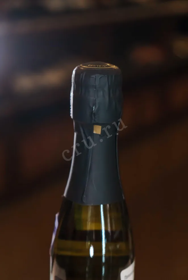 Пробка Gaetano Prosecco 2024 0.2 л