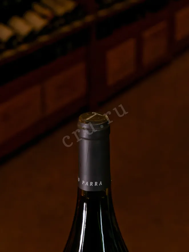 Пробка Pedro Parra Imaginador 2020 0.75 л
