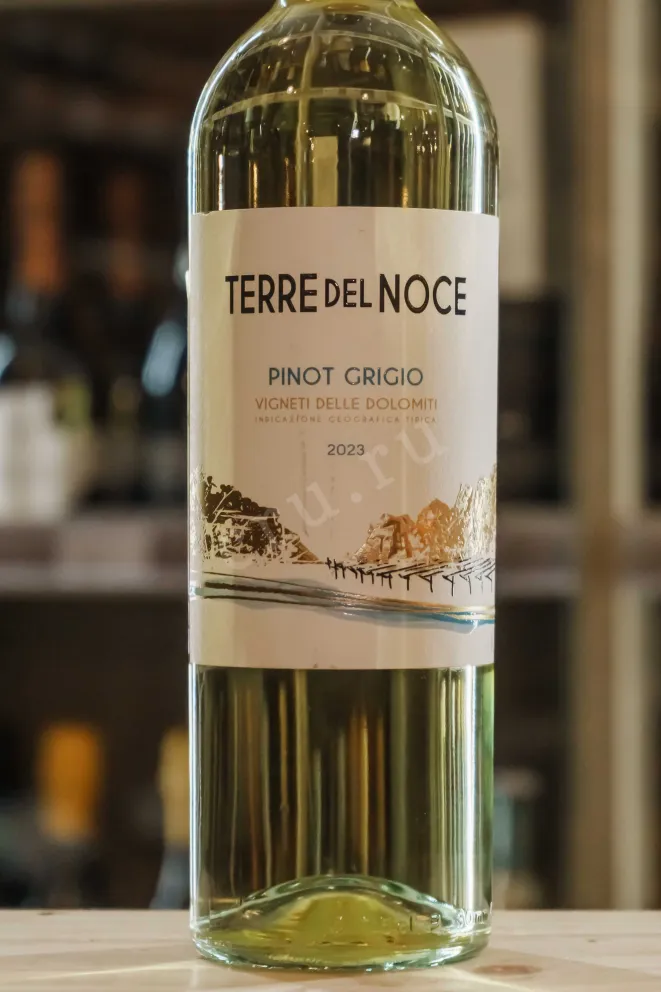 В магазине Крю Профи Mezzacorona Terre del Noce Pinot Grigio 2023 0.75 л