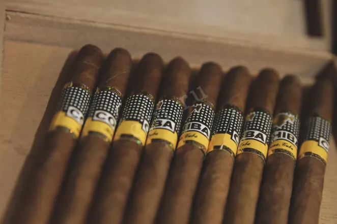 В магазине Крю Профи Cohiba Panetelas