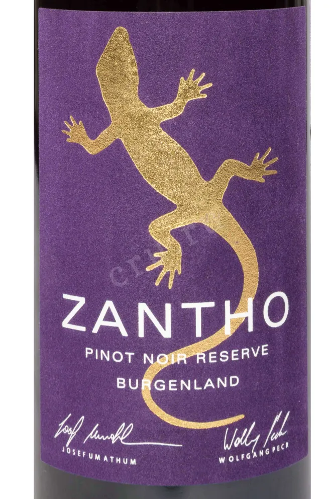 Этикетка Zantho Pinot Noir Reserve 2022 0.75 л