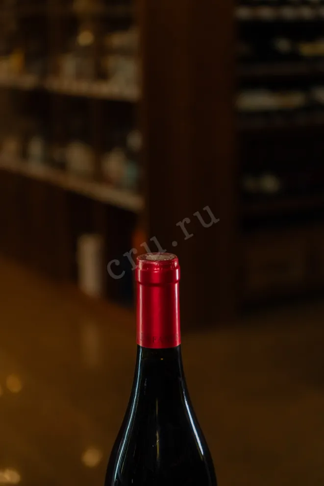 Пробка Domaine Les Enfants Sauvages Cotes Catalanes  Che 2022 0.75 л