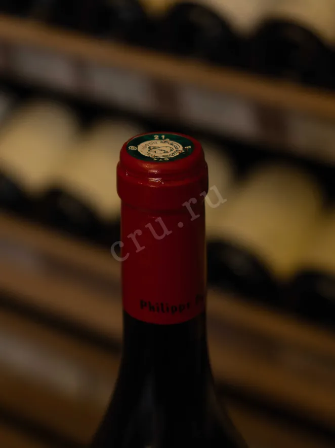 Пробка Philippe Pacalet Ladoix 1er Cru Les Joyeuses 2021 0.75 л