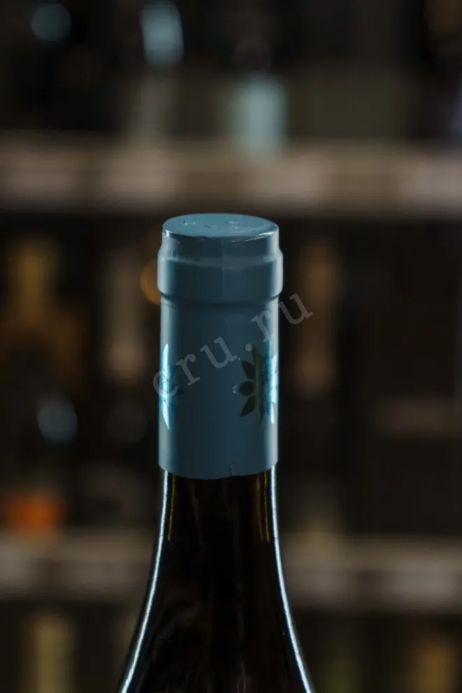 Пробка Piona Gavi DOCG 2021 0.75 л