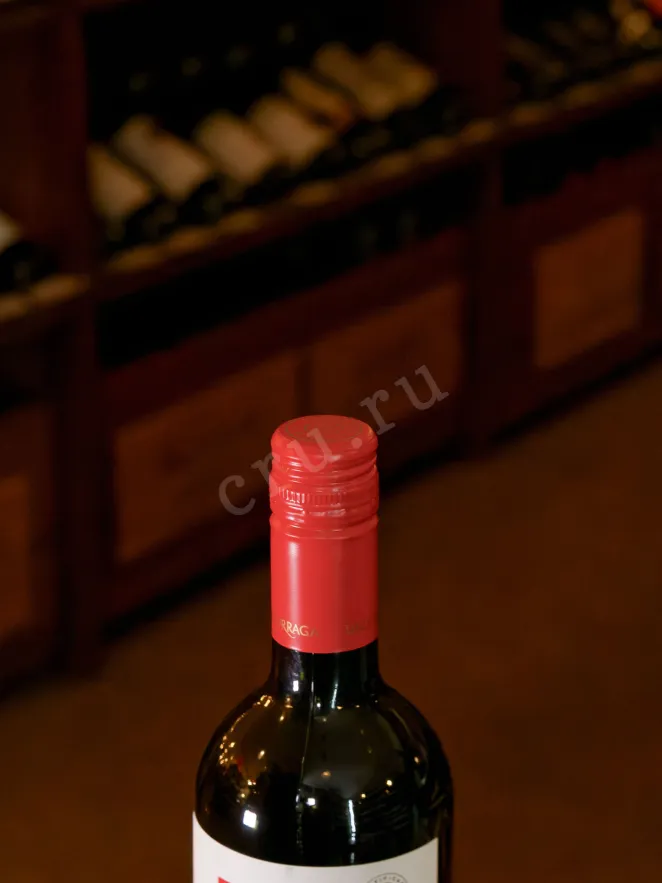 Пробка Undurraga Carmenere 2023 0.75 л