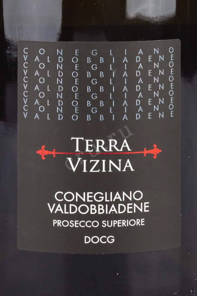 Игристое вино Prosecco Superiore Conegliano Valdobbiadene Extra Dry Terra Vizina in gift box 2021 0.75 л