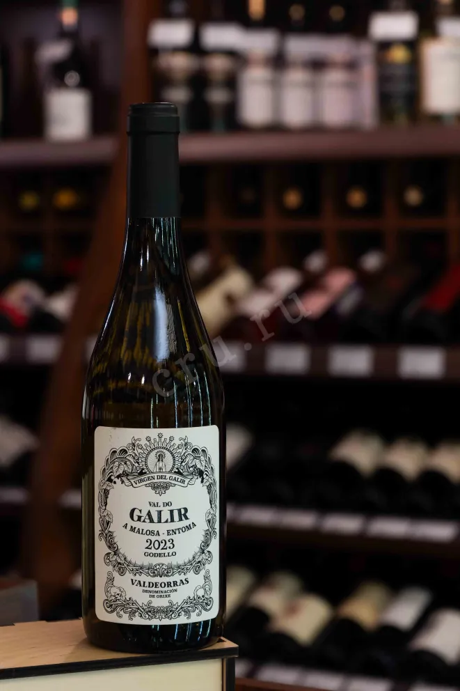 В магазине Крю Профи Val do Galir Godello Valdeorras 2023 0.75 л