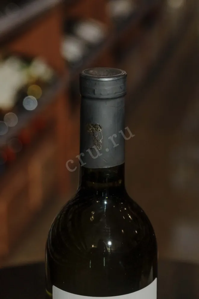 Пробка Aguna Rkatsiteli 2021 0.75 л