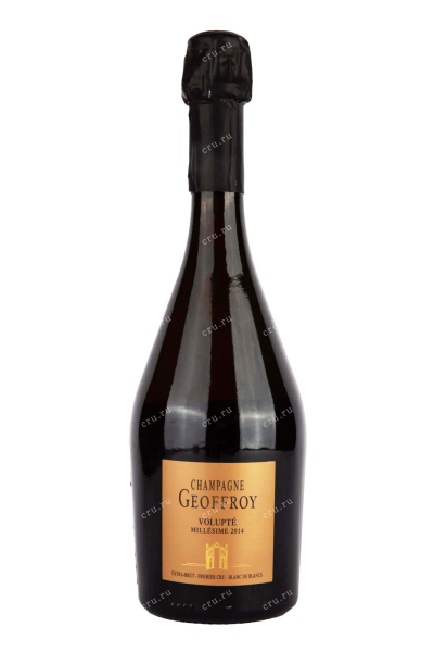Шампанское Geoffroy Volupte Millesime Extra Brut Premier Cru 2014 0.75 л