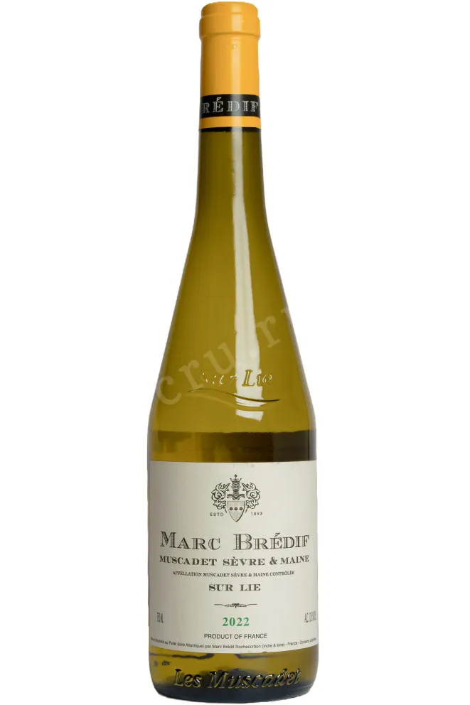 Вино Marc Bredif Muscadet de Sevre et Maine Sur Lie AOC 2022 0.75 л
