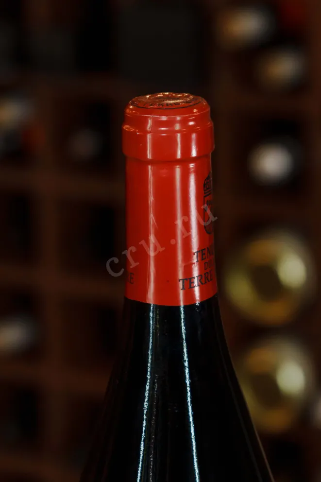 Пробка Tenuta delle Terre Nere Etna Feudo di Mezzo Il Quadro Delle Rose 2021 0.75 л