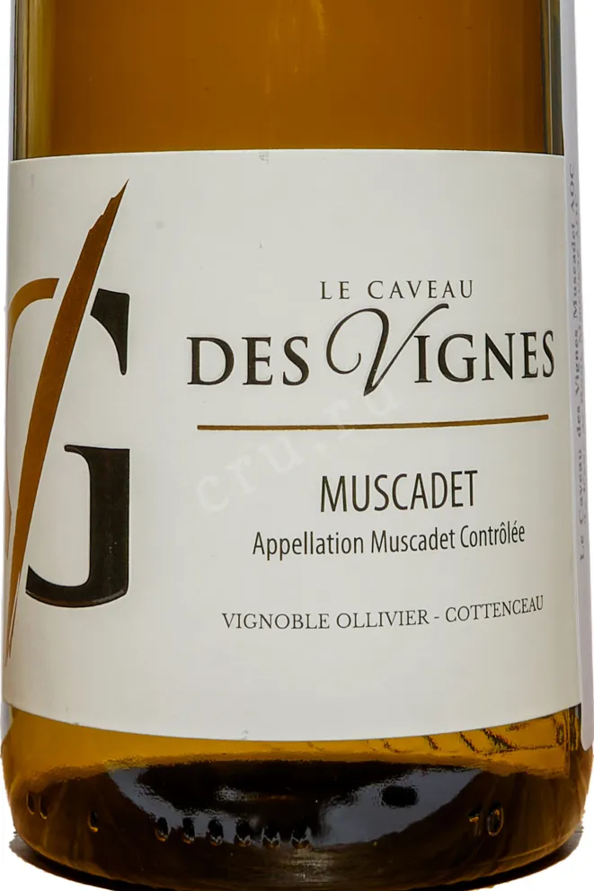 Этикетка Le Caveau des Vignes Muscadet AOC 2023 0.75 л