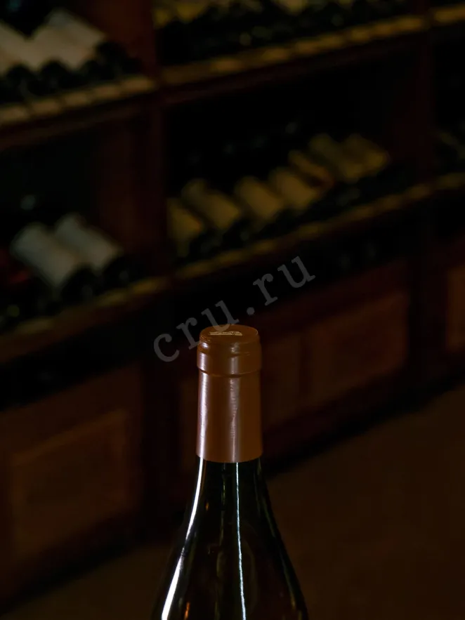 Пробка Chablis Premier Cru Montmains Domaine des Malandes 2023 0.75 л