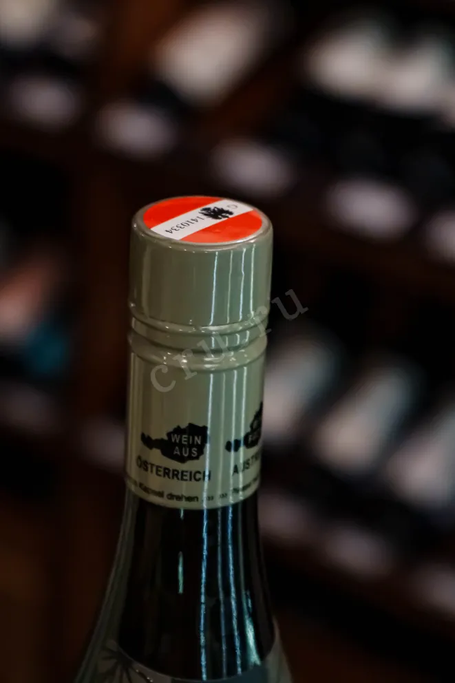 Пробка Weingut R&A Pfaffl Austrian Elder 2024 0.75 л