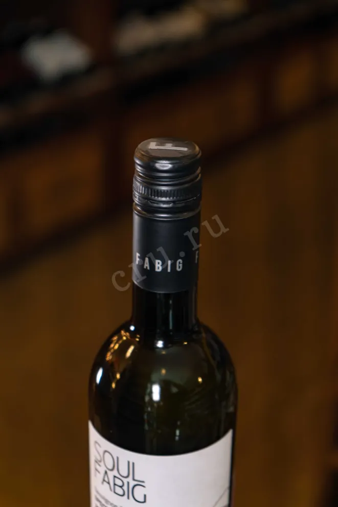 Пробка Fabig Soul Sauvignon Blanc Spectrum 2020 0.75 л