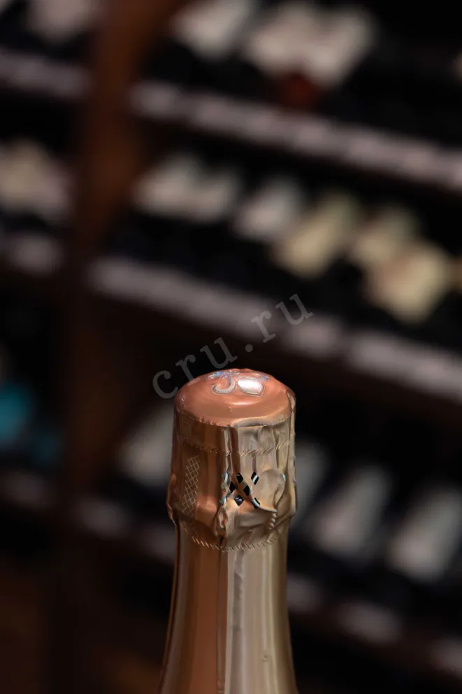 Пробка Philippe Lancelot Les Houts Depernay Grand Cru 2017 0.75 л