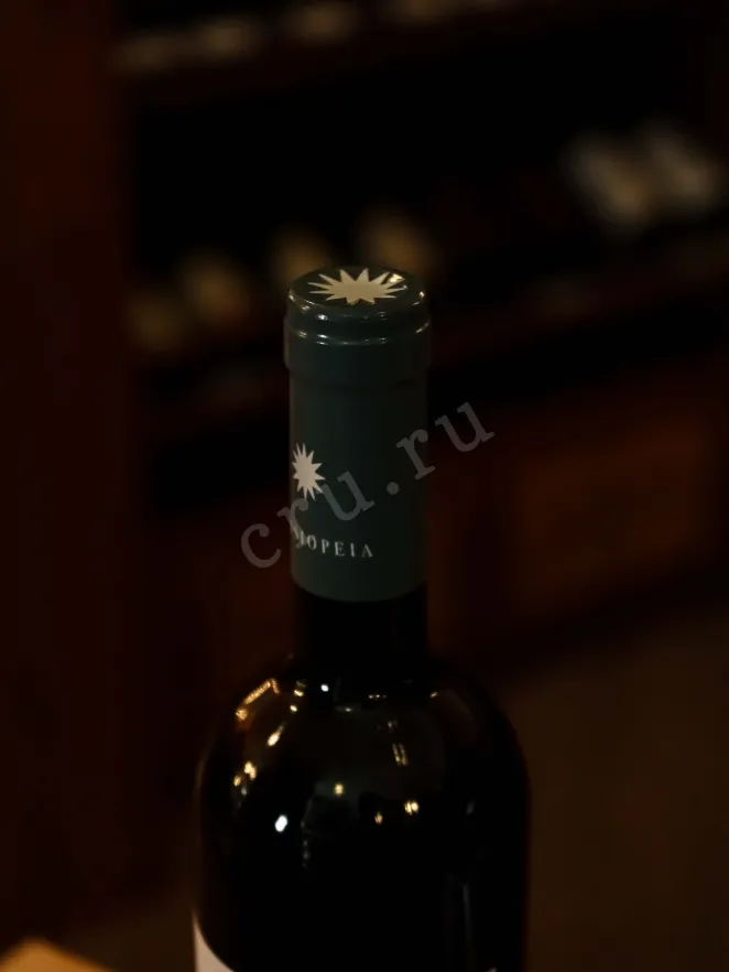 Пробка Jammertal Cassiopeia Cabernet Franc 2011 0.75 л