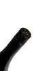 Пробка Kaiken Aventura Malbec Los Chacayes Norte IG 2022 0.75 л