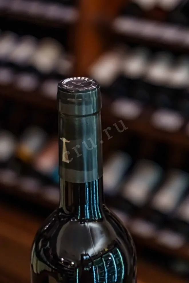 Пробка Somewhere Else Malbec Valle del Tulum 2023 0.75 л