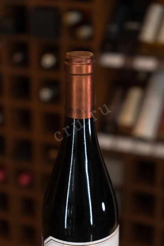 Пробка Contino Garnacha 2019 0.75 л