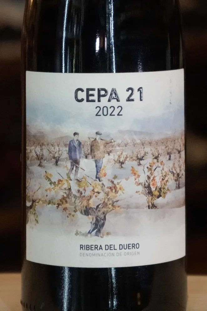 В магазине Крю Профи Cepa 21 Ribera Del Duero 2022 0.75 л