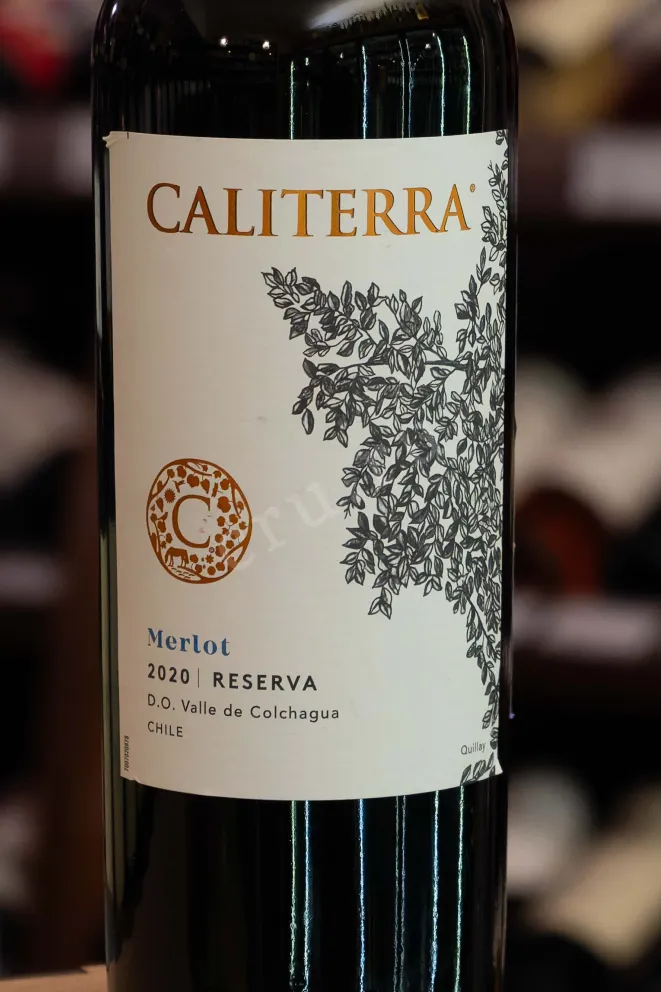В магазине Крю Профи Merlot Reserva 2020 0.75 л