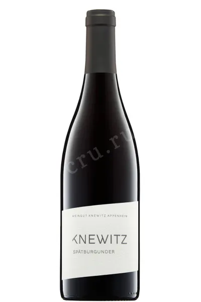 Вино Knewitz Spatburgunder Trocken Rheinhessen Qualitatswein 2022 0.75 л