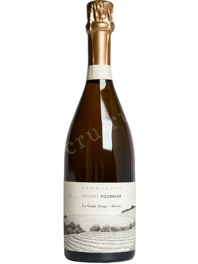 Шампанское Thierry Fournier Les Grands Champs Meunier Extra Brut  2020 0.75 л