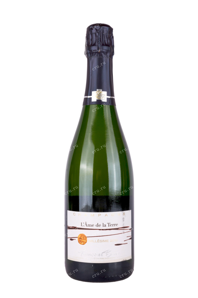 Шампанское Francoise Bedel L'Ame de la Terre Extra Brut 2010 0.75 л