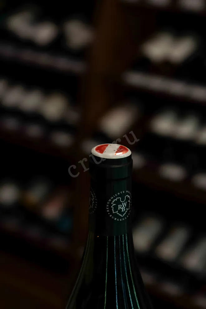 Пробка Hans Igler Pinot Noir Ried Fabian 2018 0.75 л