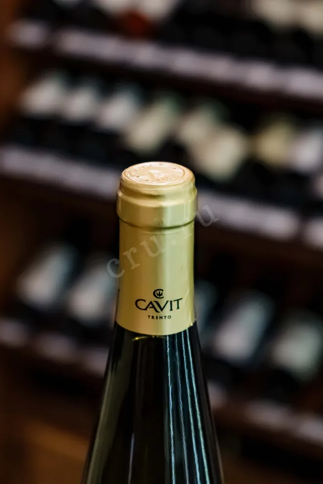 Пробка Mastri Vernacoli Gewurztraminer Trentino DOC 2023 0.75 л