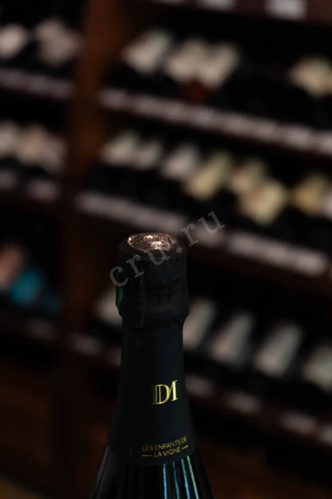 Пробка Dremont Marroy La Lierie 2019 0.75 л