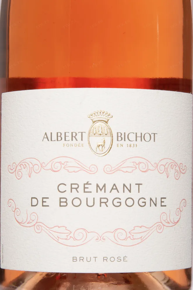 Этикетка Albert Bichot Cremant de Bourgogne Brut Rose 2022 0.75 л
