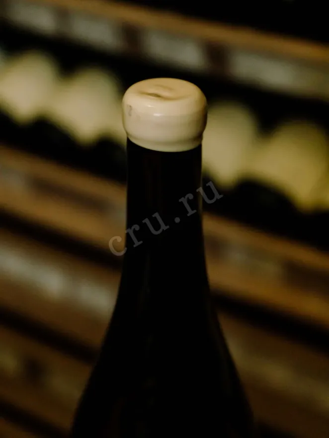 Пробка Olivier Horiot Riceys Blanc En Valingrain Coteaux Champenois 2017 0.75 л