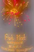 Этикетка Konstatntin Dzitoev Pet Nat Chardonnay 2023 0.75 л