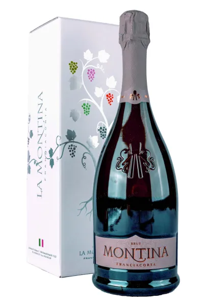 Игристое вино Montina Franciacorta Brut in gift box 2023 0.75 л
