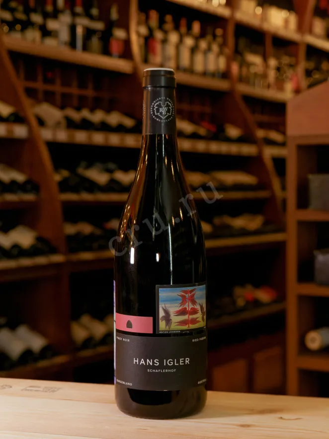 В магазине Крю Профи Hans Igler Pinot Noir Ried Fabian 2018 0.75 л